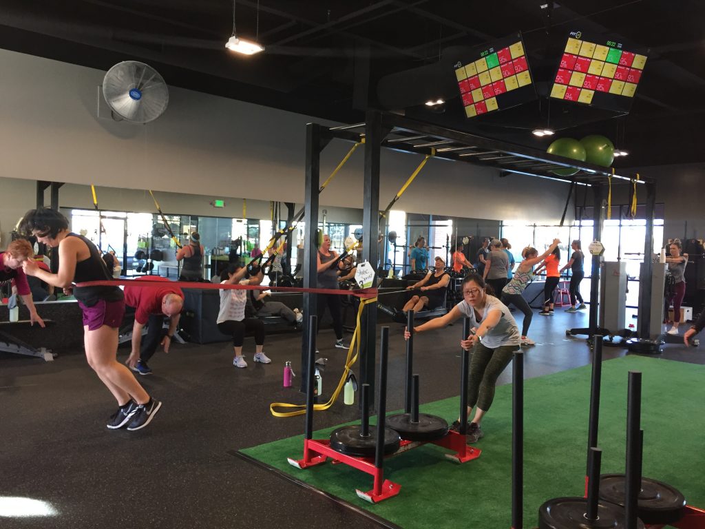 Fit 36 Members Working Out