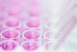 clinical trials
